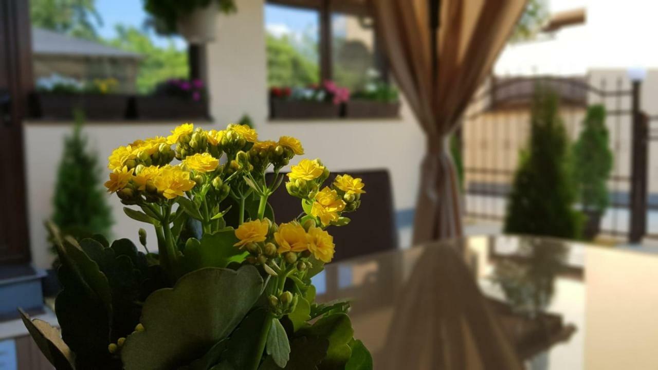 Smart Home Lux Iasi Luaran gambar
